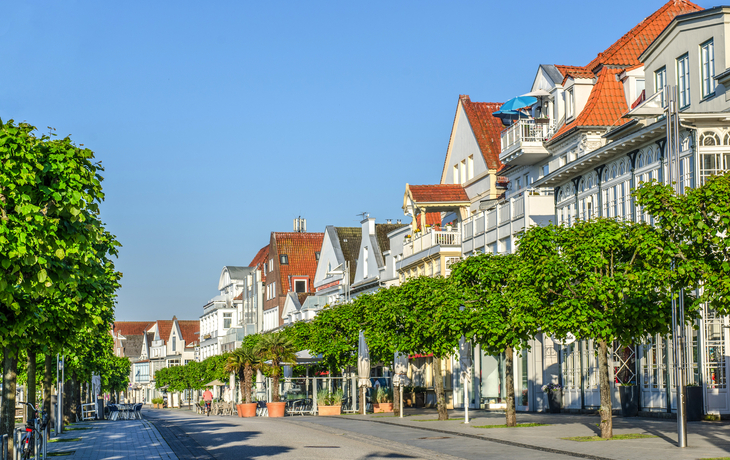Straße mit historischen Gebäuden und Bäumen an einem sonnigen Tag.