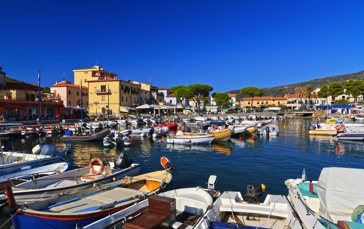 Kleiner Hafen mit Booten, umgeben von bunten Gebäuden und Bäumen unter klarem Himmel.