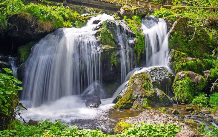 Wasserfall, umgeben von grüner Vegetation und Felsen im Wald.