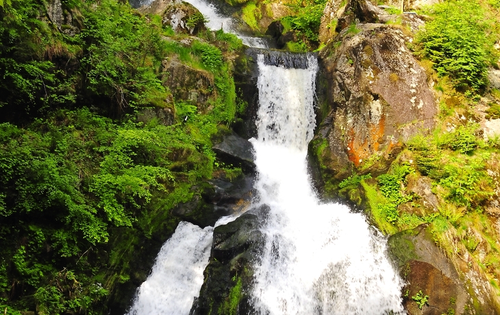 Wasserfall inmitten eines grünen, bewaldeten Gebiets mit Felsen und Brücke oben.