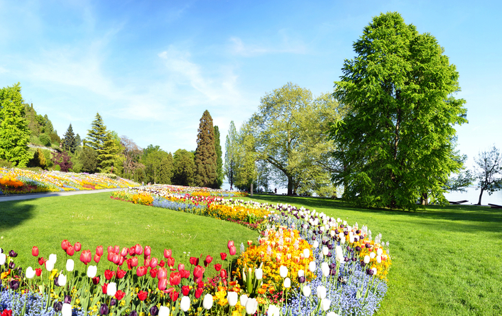 Blumenbeet im Park mit bunten Tulpen und Bäumen unter blauem Himmel.