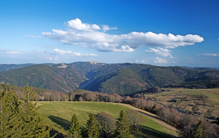 Landschaft mit Hügeln, Wäldern und blauem Himmel im Hintergrund