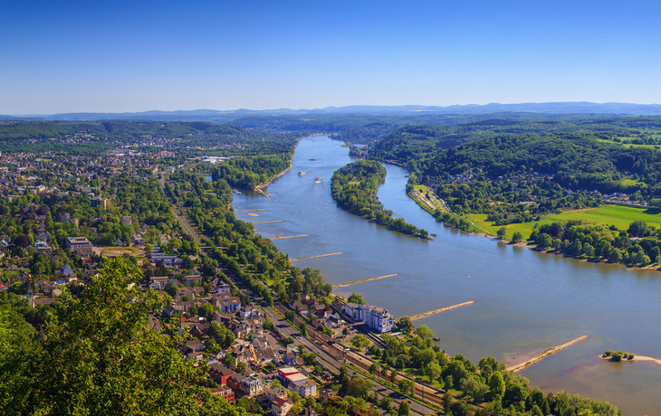 Panoramaansicht des Rheintals mit Fluss, Wald und Stadt im Hintergrund.
