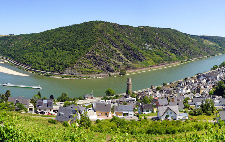 Panorama einer Flusslandschaft mit Weinbergen und einem Dorf am Rhein.