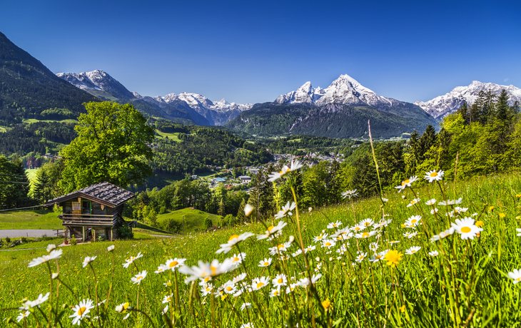 Almhütte vor Alpenlandschaft mit Blumenwiese und schneebedeckten Bergen im Hintergrund