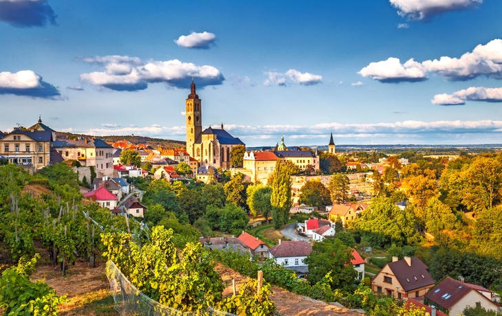 Stadtansicht mit Kirche und Weinbergen im Vordergrund bei Sonnenschein.