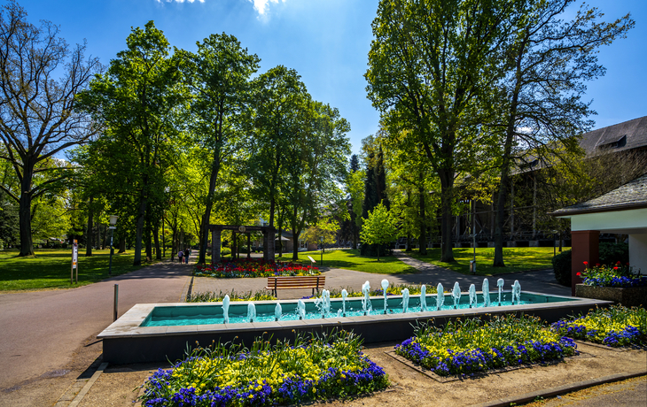 Park mit Brunnen, Blumenbeeten und umliegenden Bäumen an einem sonnigen Tag.