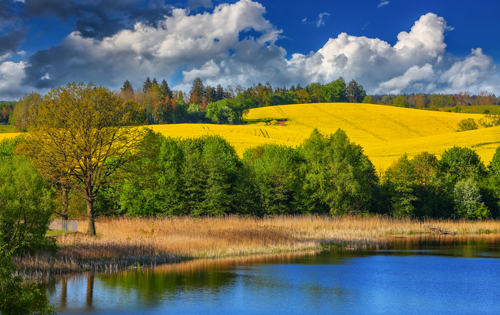 Landschaft mit See, Bäumen und Wolken am blauen Himmel