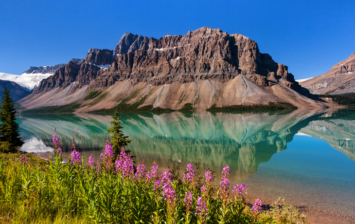 Berglandschaft mit See, Blumen im Vordergrund und klarer Himmel