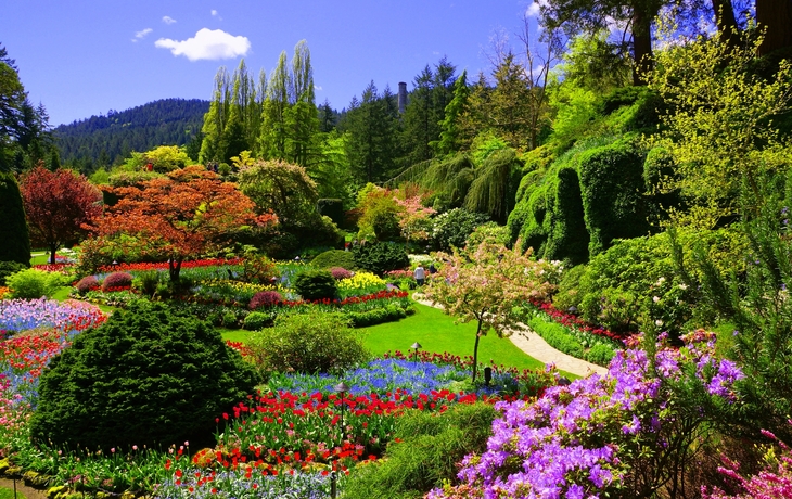 Ein farbenfroher, gepflegter Garten mit Bäumen, Blumenbeeten und Wiese.