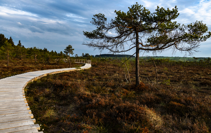Holzsteg im Schwarzen Moor/Rhön