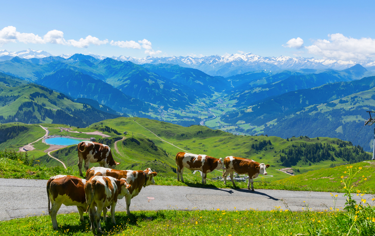 In den Kitzbüheler Alpen