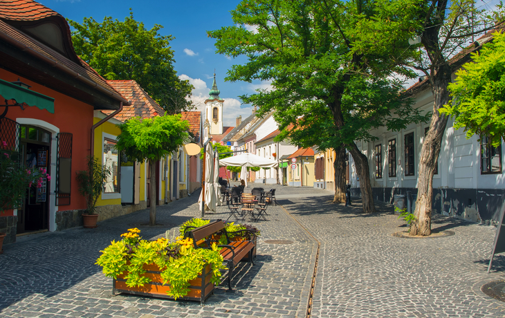 Pflasterstraße mit bunten Häusern, Bäumen und Sitzbänken an sonnigem Tag.
