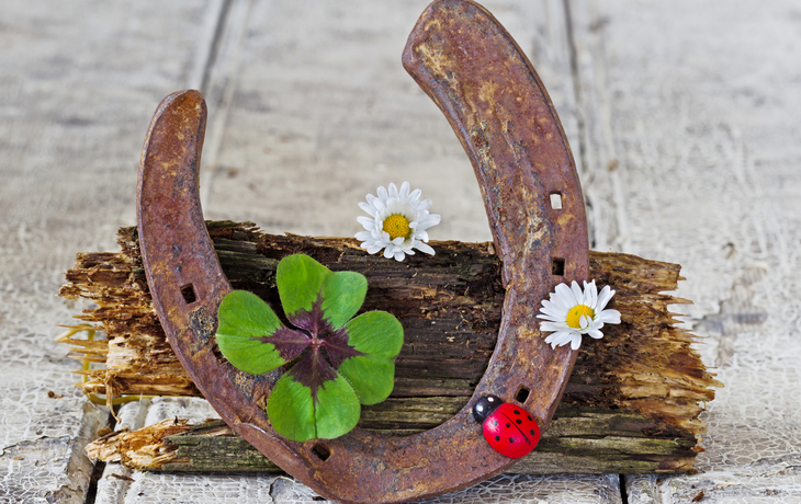 Ein altes Hufeisen, Klee, Marienkäfer und Gänseblümchen auf Holz.