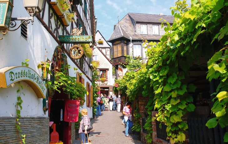 Schmale Gasse mit Fachwerkhäusern und Weinreben, Drosselgasse in Rüdesheim.
