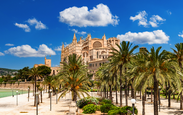 Kathedrale von Palma de Mallorca, umgeben von Palmen und blauer Himmel im Hintergrund