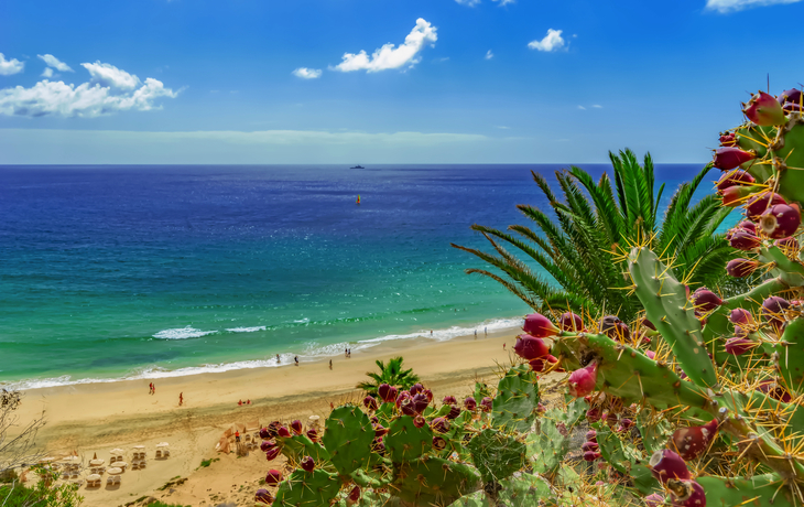 Strand mit Palmen und Kakteen, türkisfarbenes Meer, blauer Himmel, Menschen am Wasser