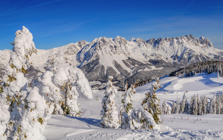 Verschneite Berglandschaft mit Bäumen und blauem Himmel.