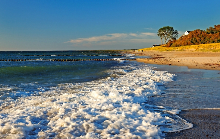 Ahrenshoop